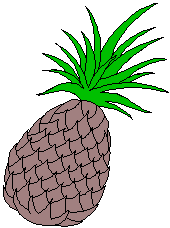 Ananas 2 frugt