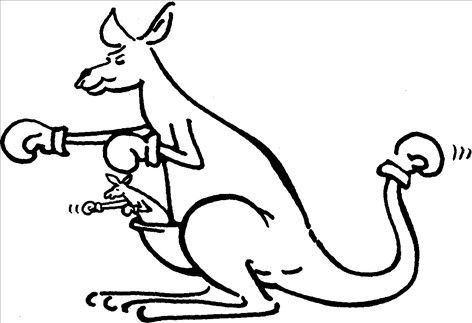 Dyr kænguru bokser 3