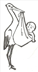 Baby og stork