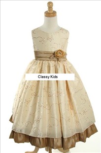 B 041 - Gold/Champage Gown
