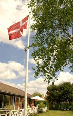 Dannebrog, Danmarks flag